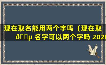 现在取名能用两个字吗（现在取 🌵 名字可以两个字吗 2020）